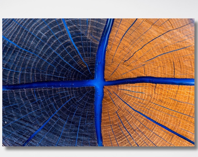 Tree Ring Canvas Print, Blue Resin Wood Slice Wall Art, Rustic Modern Abstract Canvas, Epoxy Wood Print, Large Living Room Decor