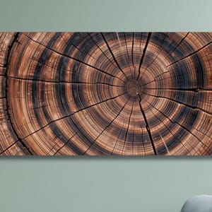 Tree Rings Canvas Art: Panoramic Boho Decor, Earthy Texture