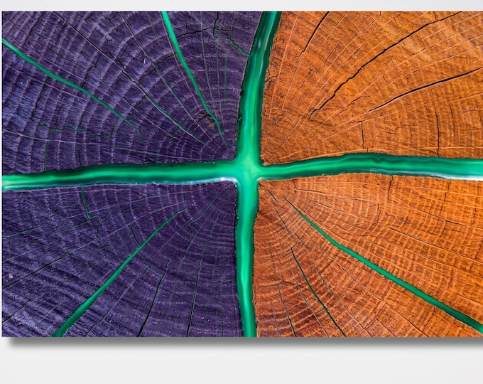 Colorful Tree Ring Canvas Wall Art, Abstract Wood Slice Print, Purple Orange Resin Art, Modern Rustic Decor, Nature Artwork
