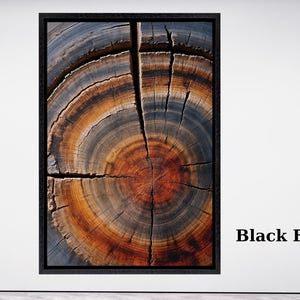 Tree Ring Rustic Canvas Framed Wall Art, Detailed Wood Texture Art, Wood Slice Art, Tree Trunk Canvas Print, Modern Nature Wall Décor gift