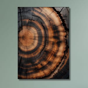 Tree Ring Canvas Framed Wall Art, Abstract Tree Ring Wall Decor, Minimalist Home Canvas Art, Modern Farmhouse Living Room Print Tree ring