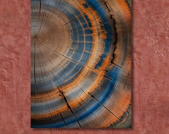 Tree Rings Canvas Wall Art Elegant Natural Wall Art Great Design Solution for Echo Tree Ring Print of stump, Tree ring Canvas art Ring Print
