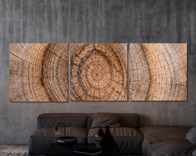 3-piece Panoramic Tree Rings Canvas Art, Elegant Natural Wood Print