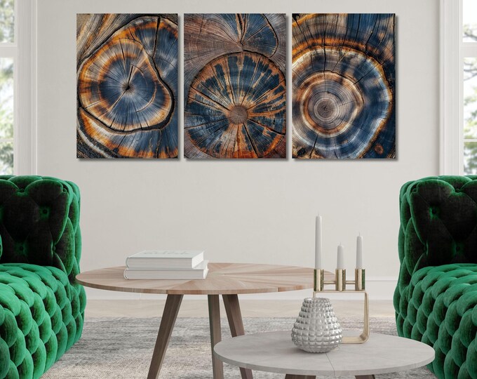 Tree Ring Wall Decor: Colorful Abstract Canvas Prints (Set of 3)