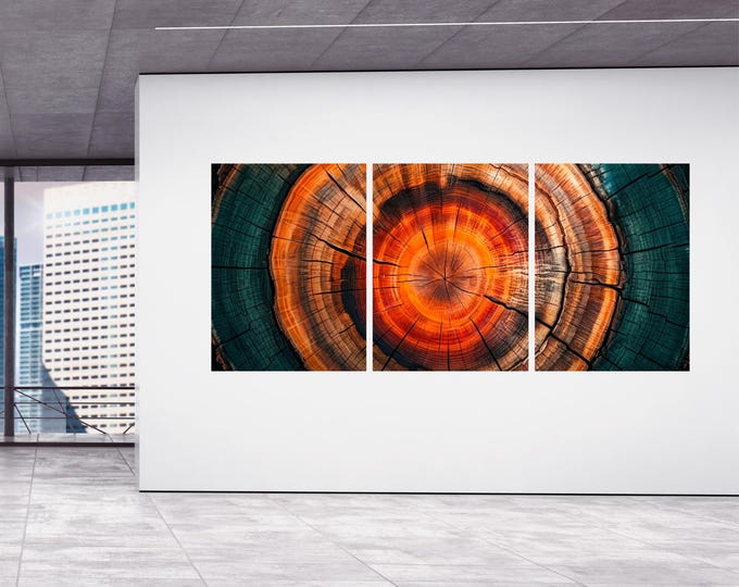 Amber Teal Tree Ring Canvas Prints, Panoramic Wood Slice Triptych Wall Art