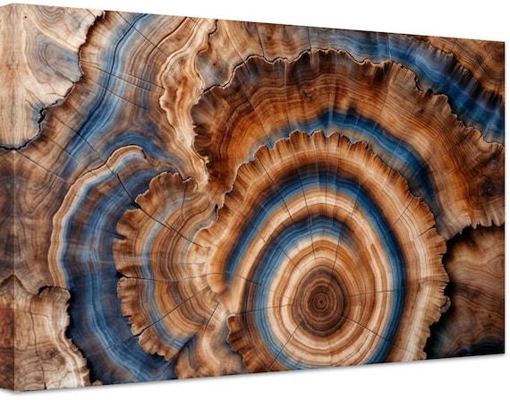 Tree Rings Canvas Wall Art Elegant Natural Wall Art Great Design Solution for Echo Tree Ring Print stump,Tree ring Wood Canvas art Texture