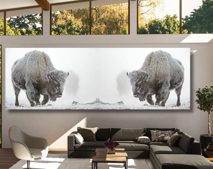 Panoramic American Buffalo in Snow Canvas Wall Art
