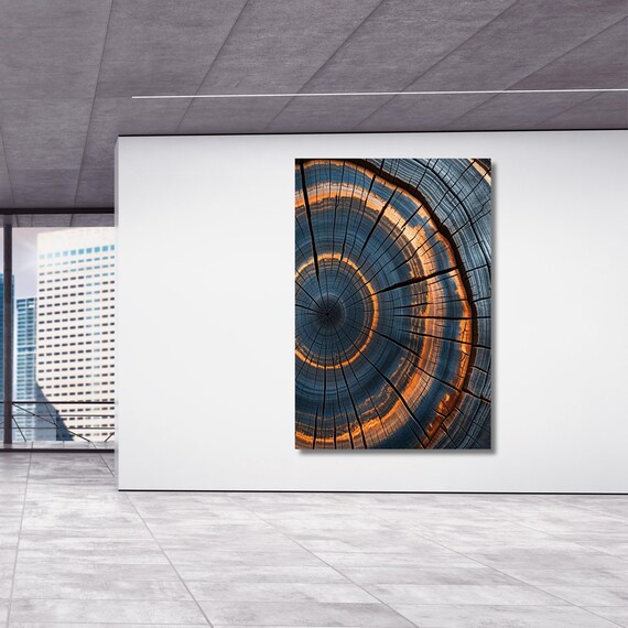 Colorful Tree Rings Canvas Wall Art Tree Rings Print Elegant Natural Wall Art  Echo Reduction  Modern Farmhouse Living Room Canvas Print