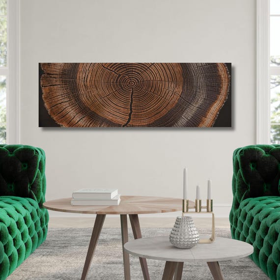 Panoramic Tree Rings Canvas Wall Art Elegant Natural Wall Art Great Design Solution for Echo Tree Ring Print of stump, Tree ring Canvas art