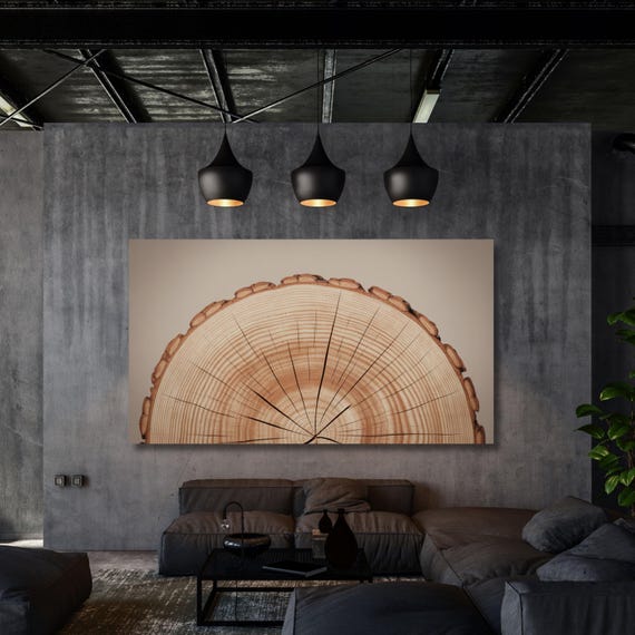 Tree Rings Canvas Wall Art Elegant Natural Wall Art Great Design Solution for Echo Tree Ring Print stump,Tree ring Wood Canvas art Texture