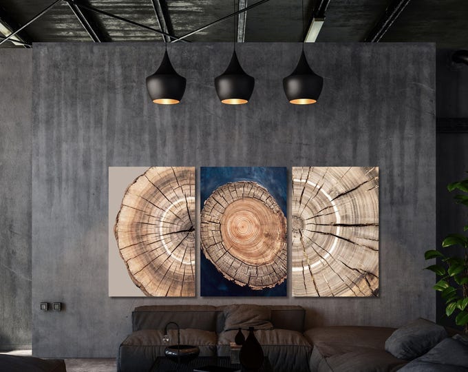 Set of 3 Tree Ring Canvas Art, Colorful Abstract Wall Decor, Minimalist Home Painting