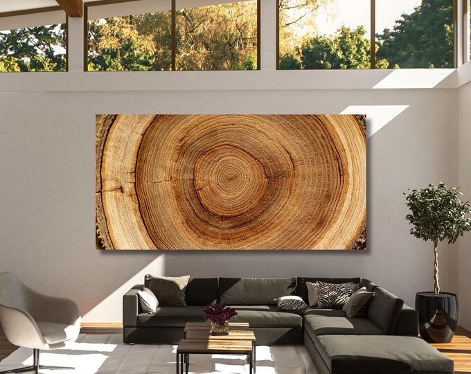 Tree Ring Canvas Wall Art, Natural Stump Print, Elegant Home Decor