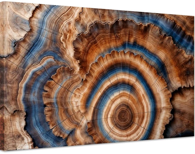 Tree Rings Canvas Wall Art Elegant Natural Wall Art Great Design Solution for Echo Tree Ring Print stump,Tree ring Wood Canvas art Texture