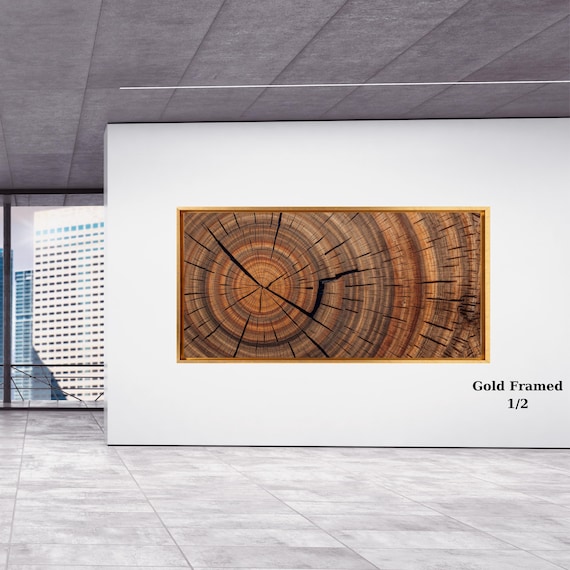 Panoramic Tree Rings Canvas Wall Art Elegant Natural Wall Art Great Design Solution for Echo Tree Ring Print of stump, Tree ring Canvas art