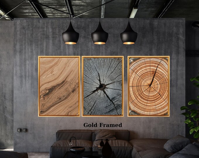 Set of 3 Tree Ring Prints, Stump Photo Poster, Minimalist Natural Canvas Art
