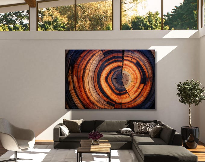 Wood Texture Wall Decor Wood Crack Abstract Natural Canvas Wall Art Great Design Solution Tree Ring Print of stump,Tree ring Canvas art gift