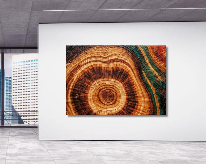 Wood Ring Texture Canvas Art, Abstract Tree Stump Print