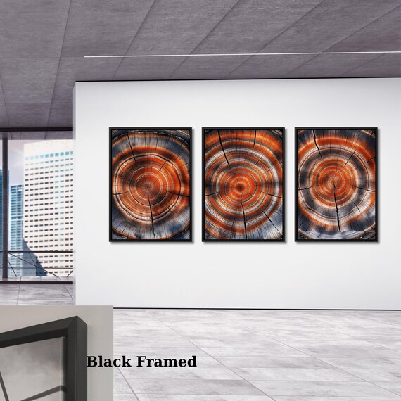 Set of 3 Colorful Tree Rings Canvas Wall Art Large Wood Texture Wall Decor Wood Crack Abstract Canvas Print Modern Trendy Framed Wall Art
