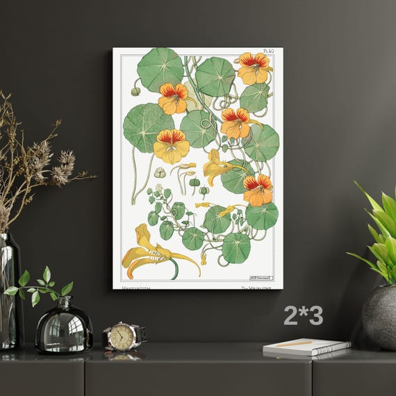 Capucine Nasturtium Canvas Wall Art – Art Nouveau Botanical Illustration Print