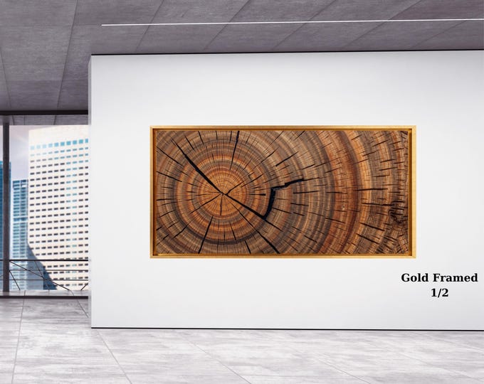 Panoramic Tree Rings Canvas Art, Natural Stump Print, Gold Framed Wall Decor