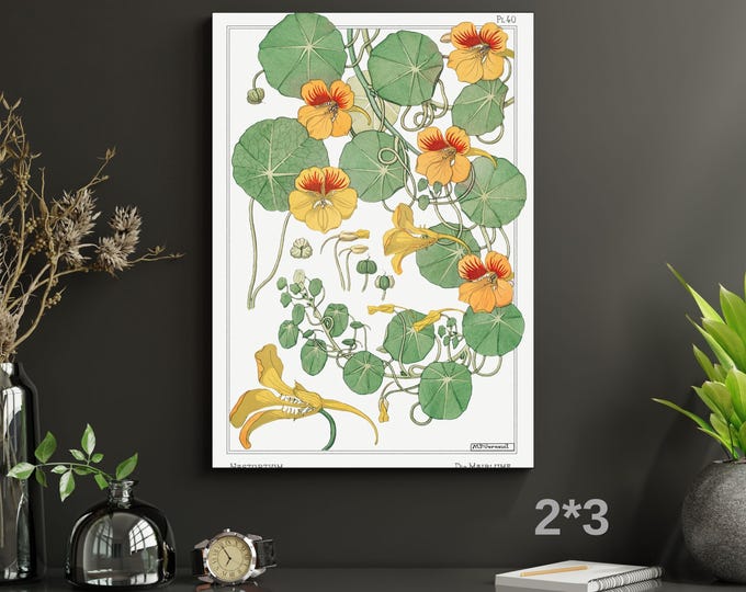 Capucine Nasturtium Canvas Wall Art – Art Nouveau Botanical Illustration Print