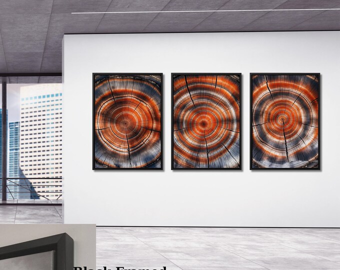 Tree Rings Canvas Art, Wood Texture Print Set of 3