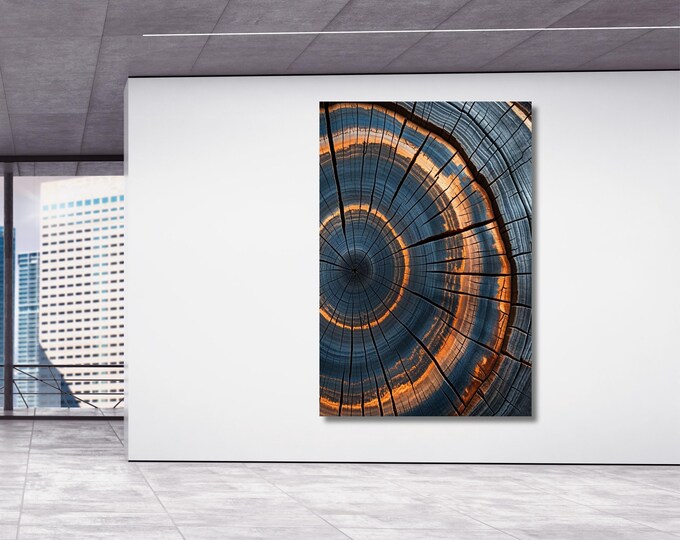 Colorful Tree Rings Canvas Wall Art Tree Rings Print Elegant Natural Wall Art  Echo Reduction  Modern Farmhouse Living Room Canvas Print