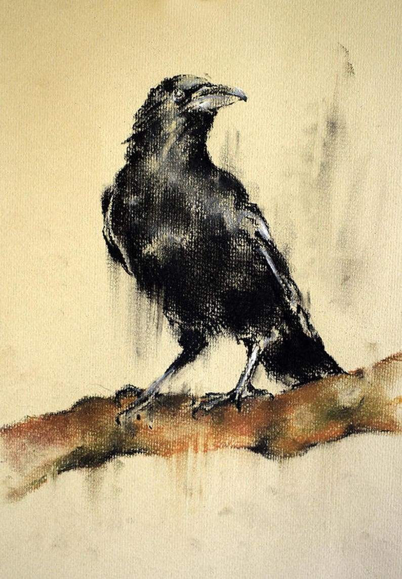 Unique Drawing Crow Sketch for Adult
