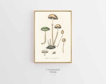 Nature Inspired Mushroom Art | Instant Download Botanical Print