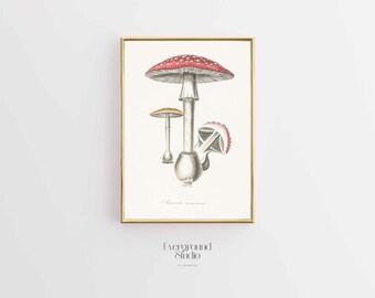 Whimsical Mushroom Print - Instant Botanical Charm for Your Walls