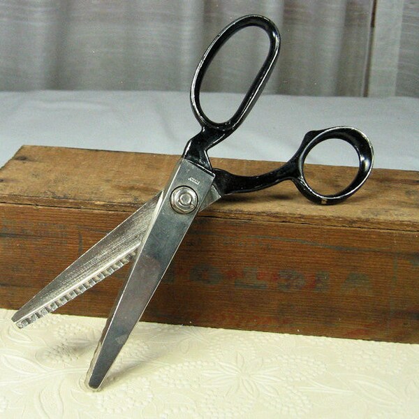 Griffon Scissors Etsy
