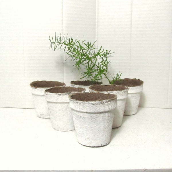 White Pots . Six Painted Peat Pots . Garden  Tabletop