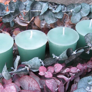 EUCALYPTUS 4 votives image 2