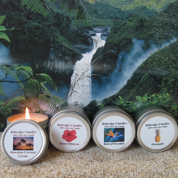 HAWAII  SAMPLER (four 2-oz soy candles)