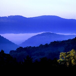 May include: A landscape view of layered mountain ranges fading into the distance with deep blue tones. A thick layer of white mist settles in the valley between the peaks, while dark green trees are visible in the foreground under soft light.
