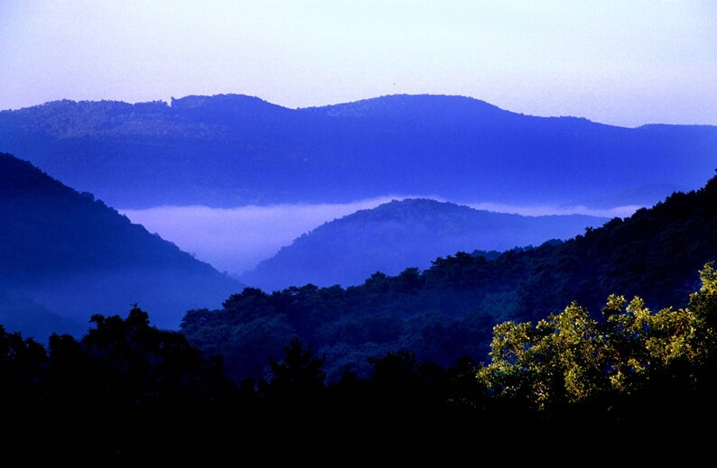 May include: A landscape view of layered mountain ranges fading into the distance with deep blue tones. A thick layer of white mist settles in the valley between the peaks, while dark green trees are visible in the foreground under soft light.