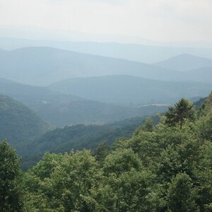 May include: A panoramic view of rolling mountain ranges fading into a hazy blue horizon, with a dense foreground of lush green deciduous trees and a single prominent evergreen conifer standing out against the layered, misty landscape.