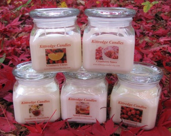 CRANBERRY COLLECTION: One 10-oz Soy Jar Candle