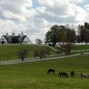 May include: A scenic landscape featuring a white barn with multiple spires atop a grassy hill. White fences wind through the green pasture where several horses graze. The sky is cloudy.