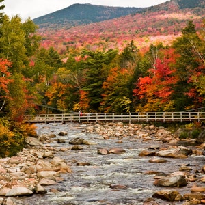 May include: A wooden suspension bridge spans a rocky riverbed with flowing water, surrounded by a dense forest displaying vibrant autumn foliage in shades of red, orange, and yellow, set against a backdrop of a large mountain under a cloudy sky.
