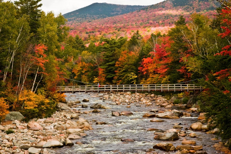 May include: A wooden suspension bridge spans a rocky riverbed with flowing water, surrounded by a dense forest displaying vibrant autumn foliage in shades of red, orange, and yellow, set against a backdrop of a large mountain under a cloudy sky.