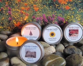 SOUTH DAKOTA SAMPLER (four 2-oz soy candles)