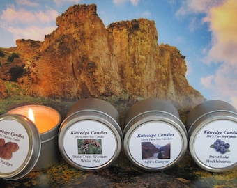 IDAHO SAMPLER (four 2-oz soy candles)