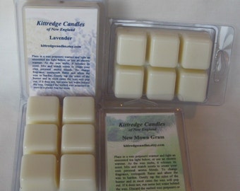 CLAMSHELL BREAKAWAY TARTS  (4 packs in your choice of scents)