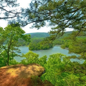 May include: A high-angle view of a calm lake surrounded by dense green forests and rolling hills. In the foreground, a rocky cliff edge overlooks the water, framed by overhanging pine tree branches with vibrant green foliage under a bright sky.