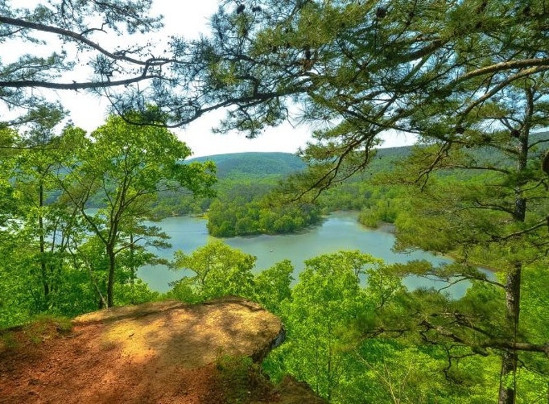 May include: A high-angle view of a calm lake surrounded by dense green forests and rolling hills. In the foreground, a rocky cliff edge overlooks the water, framed by overhanging pine tree branches with vibrant green foliage under a bright sky.