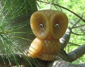 BARRED OWL Candle