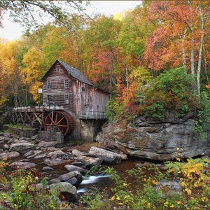 May include: A rustic wooden grist mill with a large red water wheel sits beside a rocky stream. The structure features multiple windows and a shingled roof, surrounded by a dense forest displaying vibrant autumn foliage in shades of orange, yellow, and red.