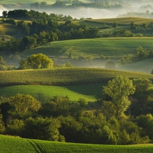 May include: A scenic view of rolling green hills with patches of farmland and trees. The hills are covered in a light mist, creating a dreamy atmosphere.