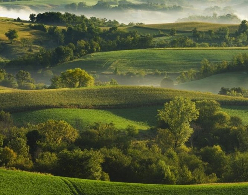 May include: A scenic view of rolling green hills with patches of farmland and trees. The hills are covered in a light mist, creating a dreamy atmosphere.